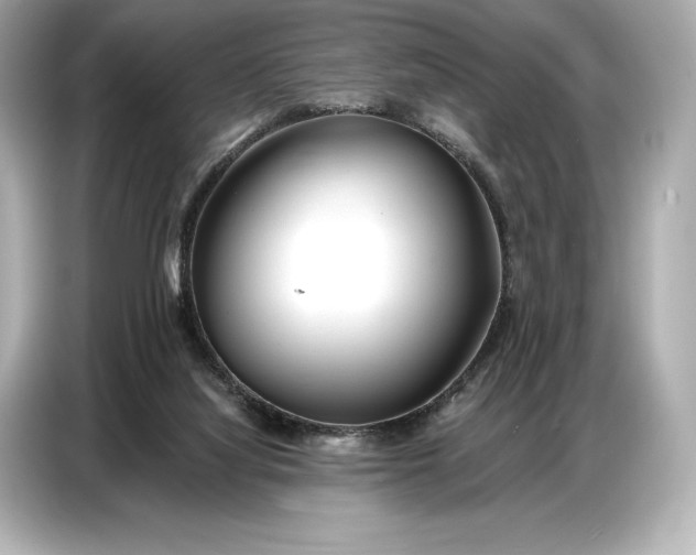 X0000086880068200704300945