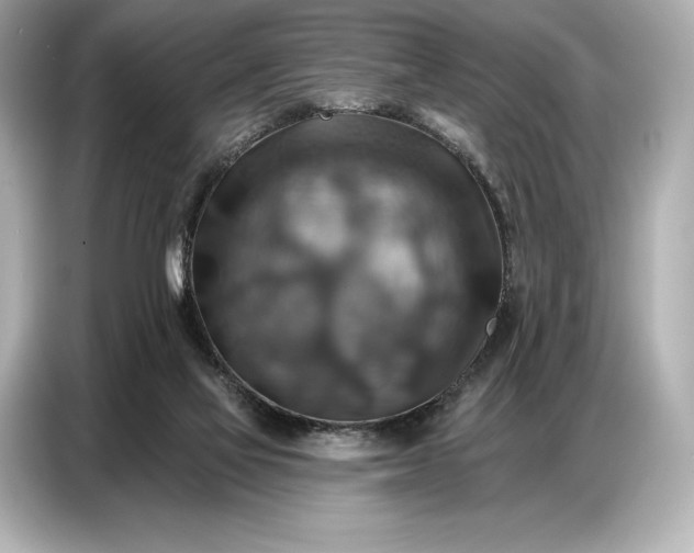 X0000086880069200704300945