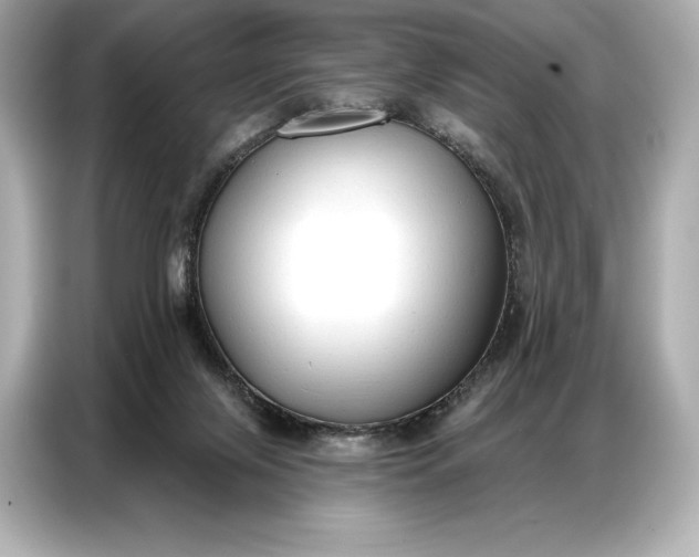 X0000086880071200704300945