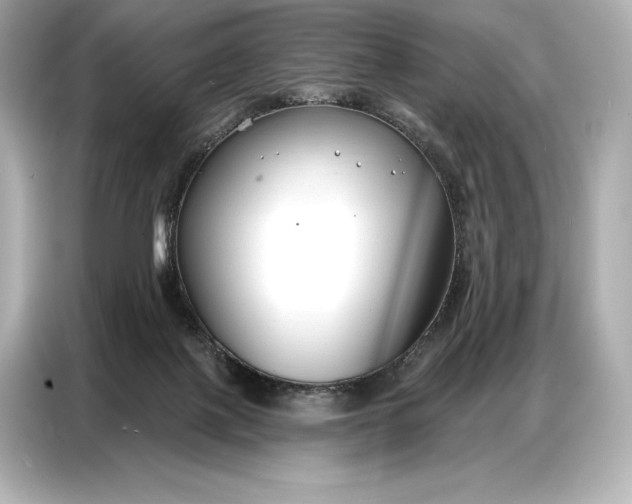 X0000086880075200704300945