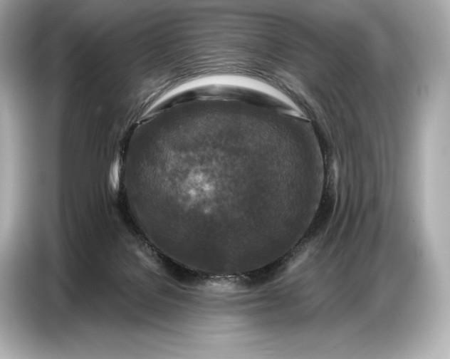 X0000086880076200704300945