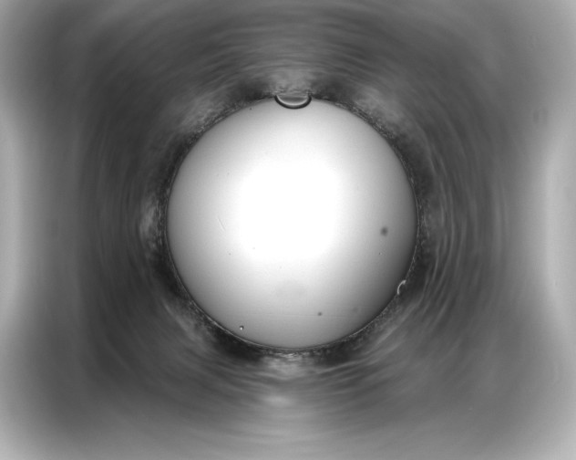 X0000086880079200704300945