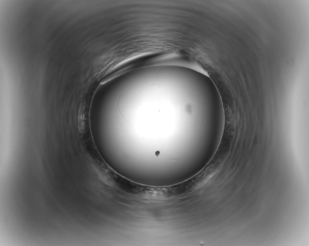 X0000086880080200704300945