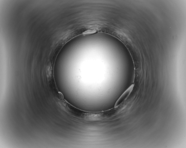 X0000086880081200704300945