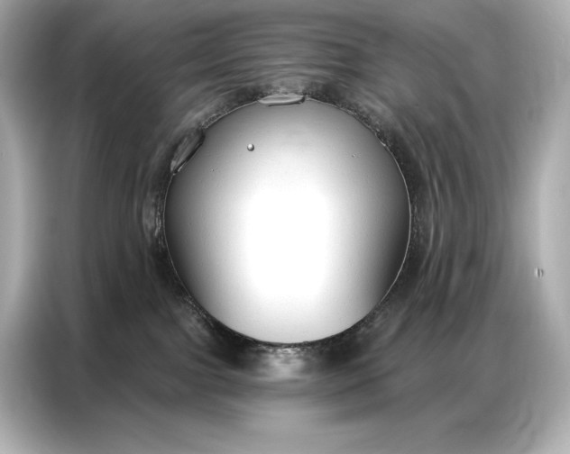 X0000086880091200704300945