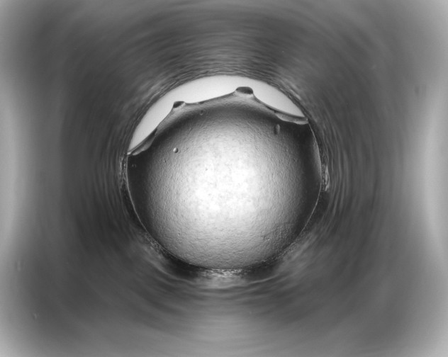 X0000086880093200704300945