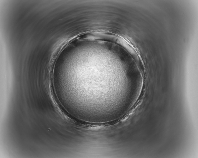 X0000086880097200704300945