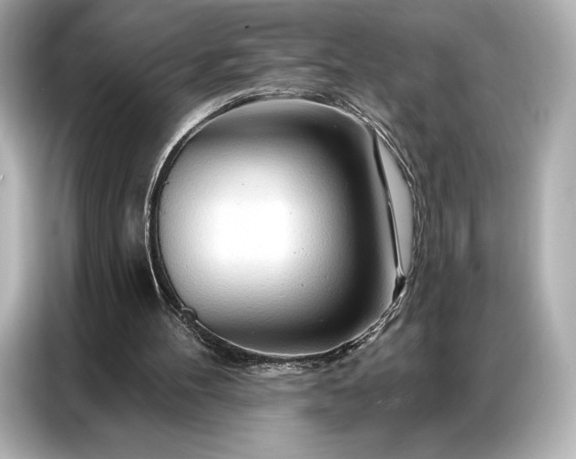 X0000086880100200704300945