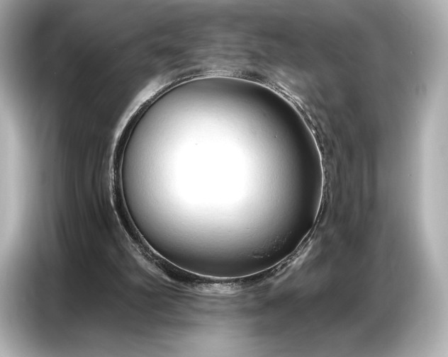 X0000086880102200704300945