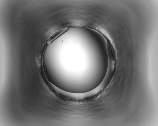 X0000086880105200704300945