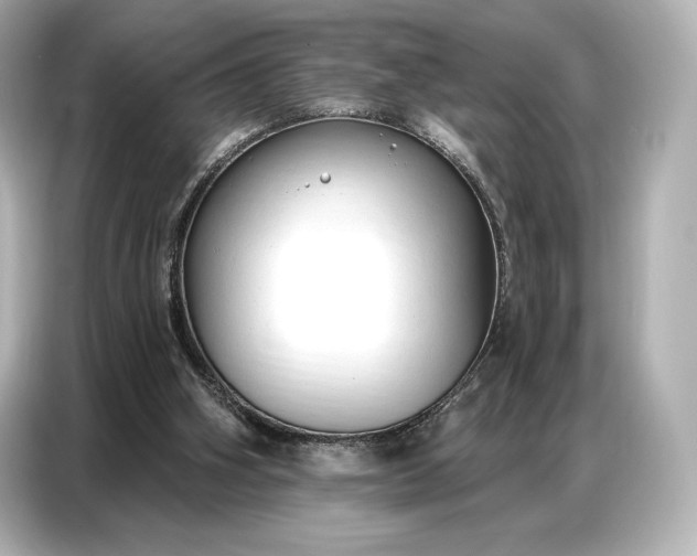 X0000086880106200704300945