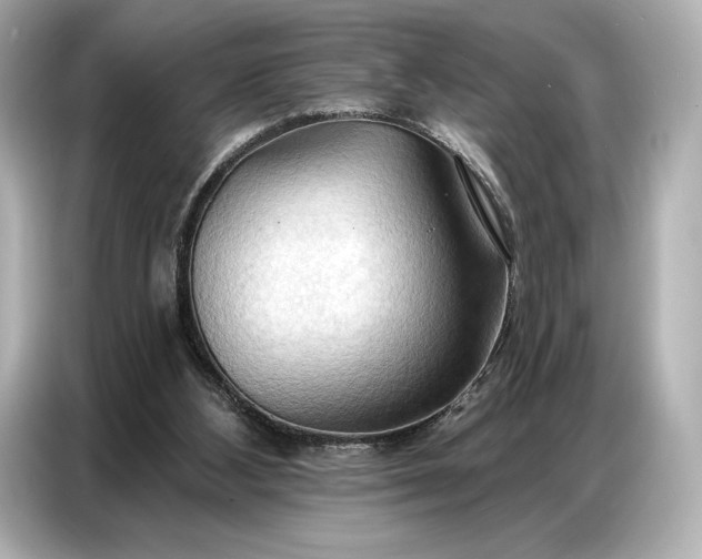 X0000086880108200704300945