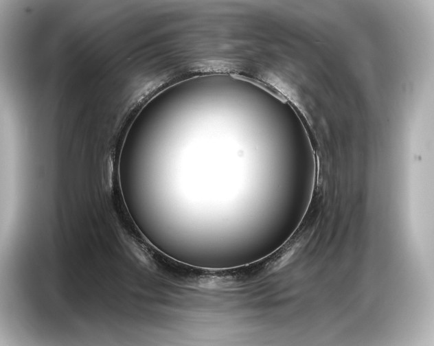 X0000086880109200704300945