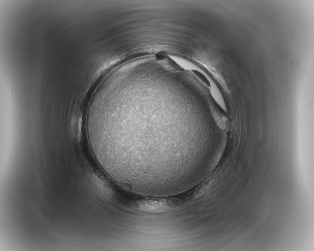 X0000086880110200704300945