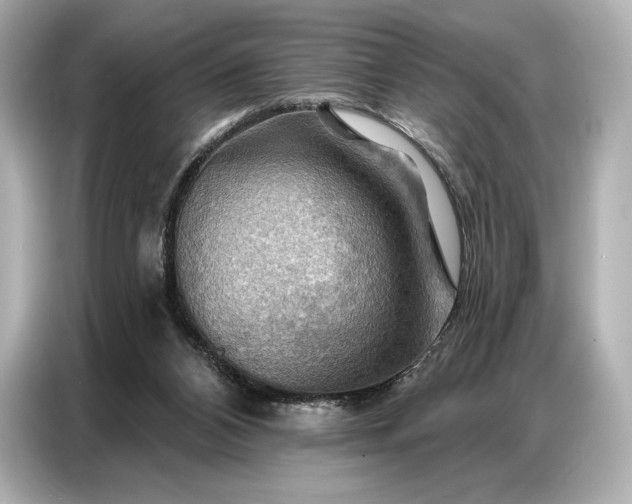 X0000086880112200704300945