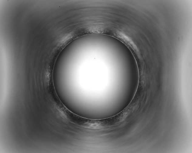 X0000086880113200704300945