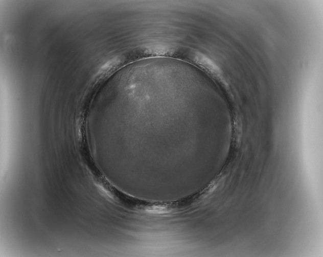 X0000086880114200704300945