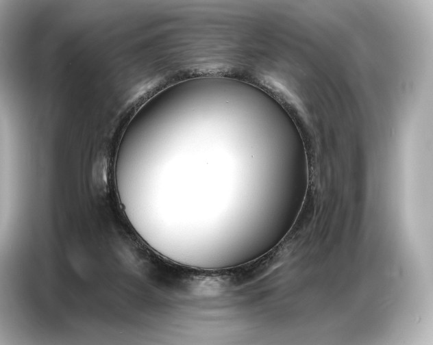 X0000086880115200704300944