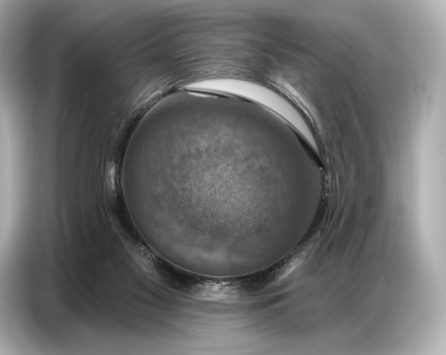 X0000086880117200704300944