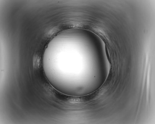 X0000086880123200704300944