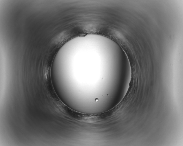 X0000086880125200704300944