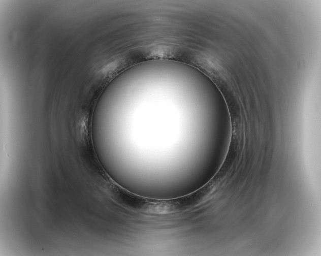 X0000086880127200704300944