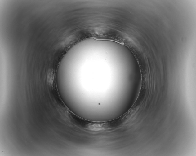 X0000086880129200704300944