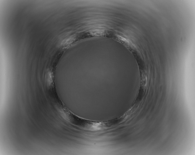 X0000086880130200704300944