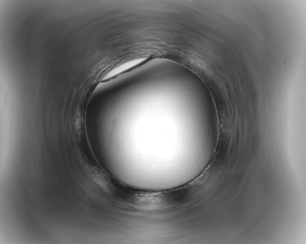 X0000086880132200704300944