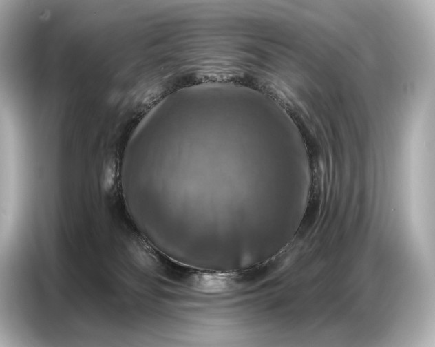 X0000086880134200704300944