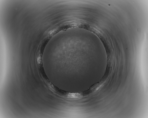 X0000086880137200704300944