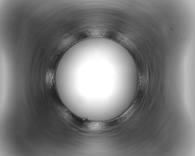 X0000086880142200704300944