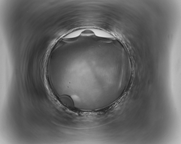 X0000086880145200704300943