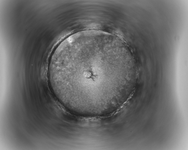 X0000086880146200704300944