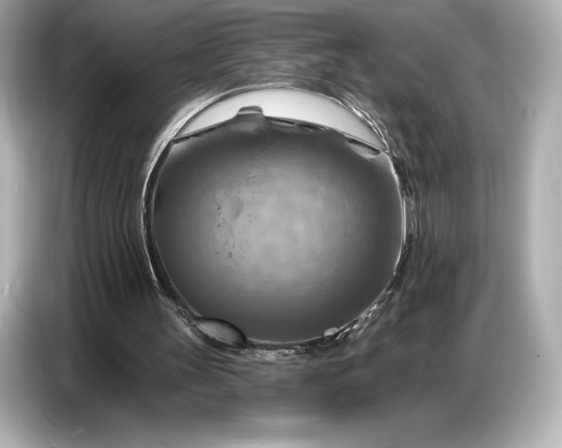 X0000086880147200704300944