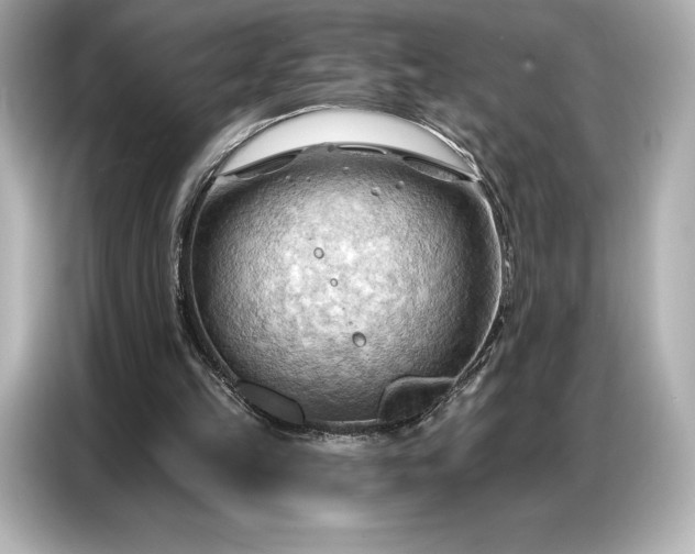 X0000086880149200704300944