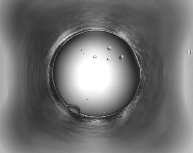 X0000086880151200704300944