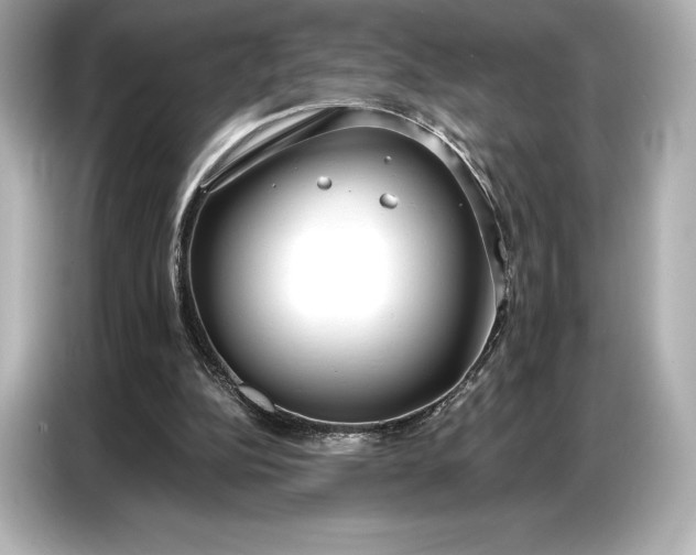 X0000086880152200704300944