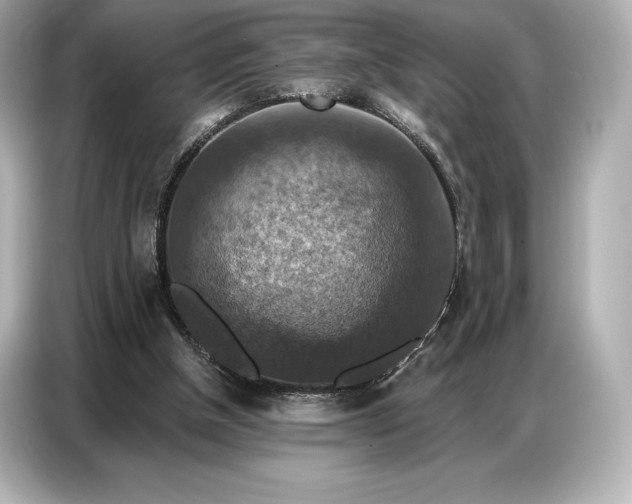 X0000086880154200704300944