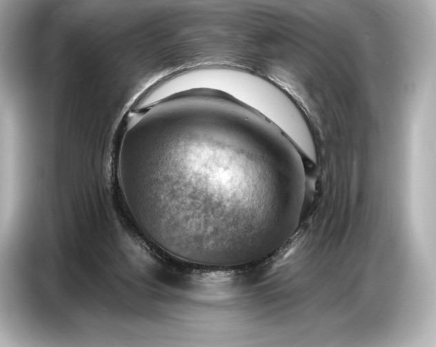 X0000086880156200704300944