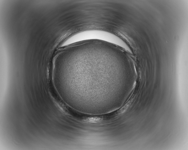 X0000086880158200704300944