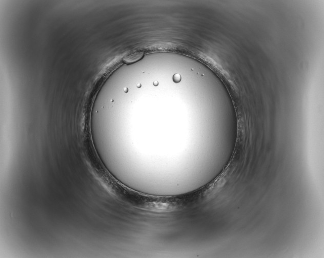 X0000086880159200704300944