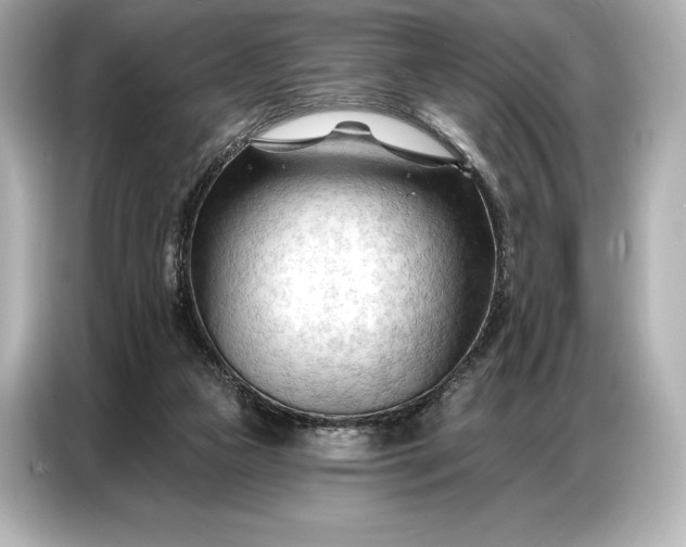 X0000086880161200704300944