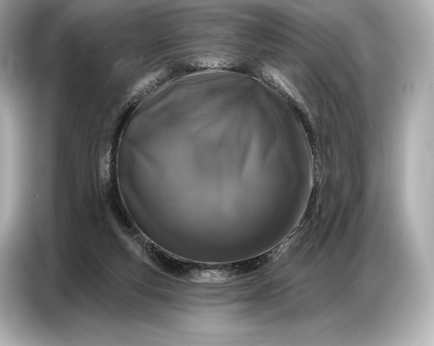 X0000086880163200704300944