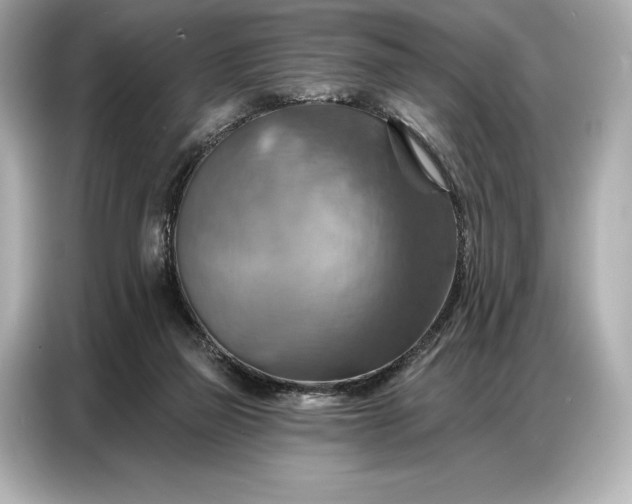 X0000086880165200704300944