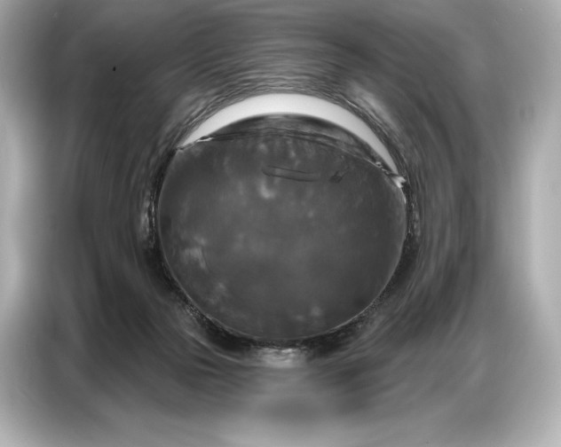 X0000086880169200704300944