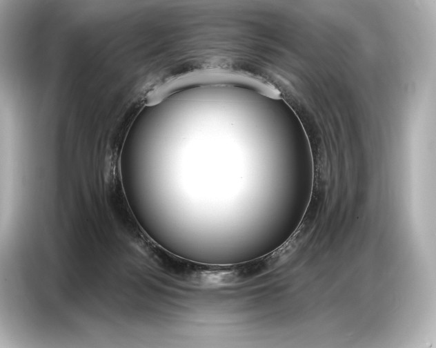 X0000086880172200704300944