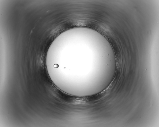 X0000086880175200704300944