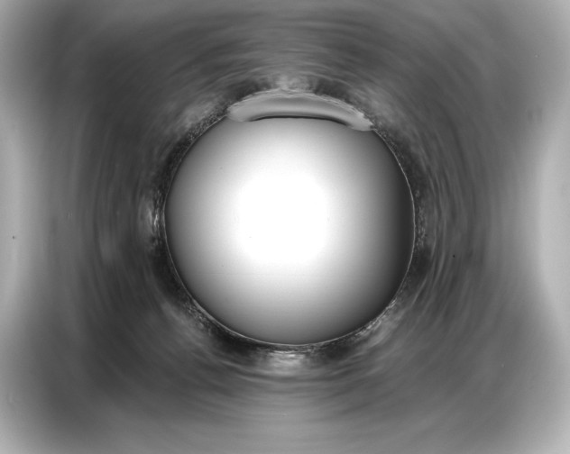 X0000086880176200704300944