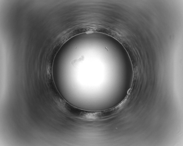 X0000086880178200704300944